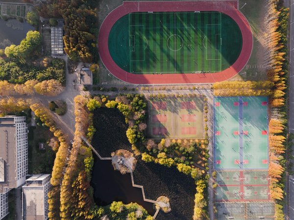 Les meilleures applications mobiles pour aider à la musculation des abdominaux