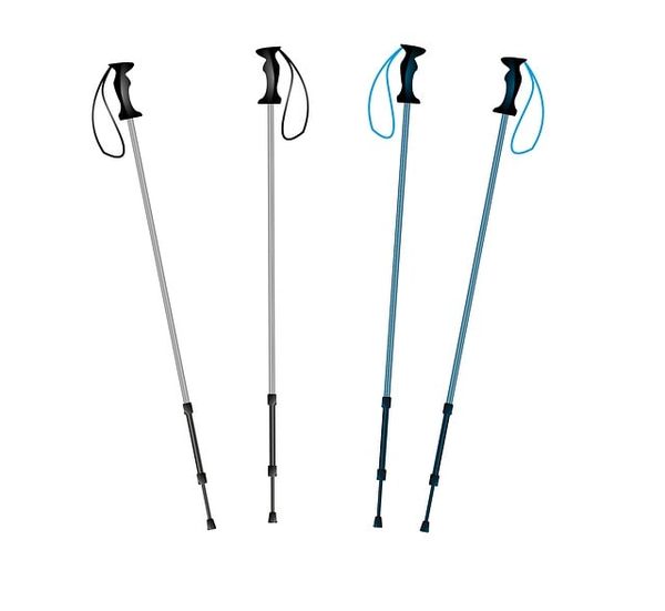 Comparatif bâton de randonnée : guide des modèles incontournables